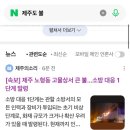 던킨도너츠제주송악산점 | 감귤국 3박 4일 여행 🍊| 겨울 제주도 여행
