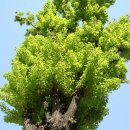 노루댕이(장당3호)어린이공원 CCTV | <일상>가슴 뭉클해지는 서대문형무소 역사관 후기♡