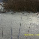 대지-2010 이미지