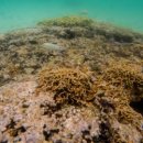 컴온비치호텔 이미지