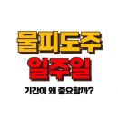 물피도주 일주일 , 경찰 신고 안 하면? 절대 피할 수 없는 3가지 문제! 이미지