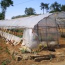 서신면사무소 이미지