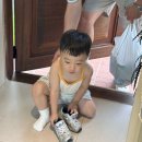 송당찬가 이미지