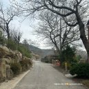 작은숲 | [부산 기장] 부산 근교 작은 피톤치드 자연 여행지, 아홉산숲 방문 후기