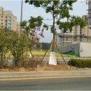 금강베네치아 이미지