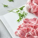 호라파 네이버블로그