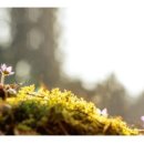 양동농협주유소 이미지