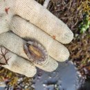 동박새우는집 이미지