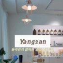 말랑스킨뷰티 네이버블로그