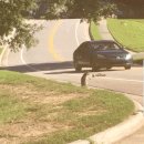 라쿤PC방 이미지