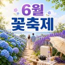 삼화밧데리 | 6월 수국축제 가는 법·주차·동선｜장생포 수국축제 공주 유구색동수국정원 무릉별유천지 라벤더