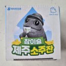참이슬 제주 소주잔 이미지