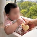 금호강4 | 대구 금호강 대형카페 |해월당| 아기와 다녀온 내돈내산 솔직 후기