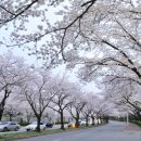 관광단지로(서) 이미지