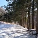 여량초 자개분교장 이미지