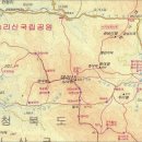 꿀벌주유소 이미지