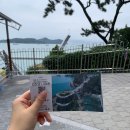 초록마을송도 | 부산여행 가볼만한곳 송도 용궁구름다리 암남공원 주차 입장료 꿀팁 총정리