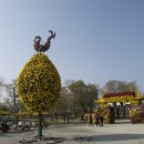 서동공원 이미지