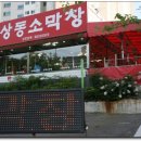 대구소막창 - 아산시 | 대구소막창