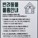 여수 댕댕이 애견 가족펜션 골드 이미지