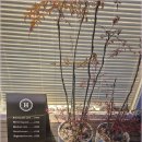 헤세드디자인 이미지