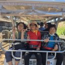 2025년 10월 1일 수요일 문화활동(제주돌문화공원) 이미지