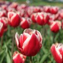 성포초등학교 이미지