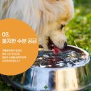 파란동물병원 이미지