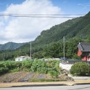 꽃피는 무릉도원 이미지