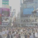 일본 이민 현실, 방법, 후기, 비자, 후회, 디시, 직업, 생활비 (다 알려드림)