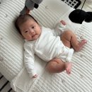 [아기옷] 쁘띠바또 바디수트 12m 사이즈 구입 후기 (H&amp;M 바디수트 사이즈와 비교)