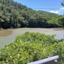 중선포천 이미지