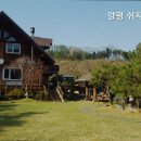 쉬자트리하우스 네이버블로그