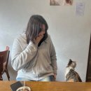 매정목장 | 제주 다녀왔수다~