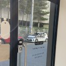 몽이미용실 | 수원 고양이 미용실 &#34;이쁘면다냥&#34; 단모 고양이 전체목욕 후기! (효몽이의 첫 미용실 방문)