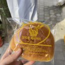 양지윤베이커리 이미지