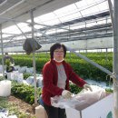 덕성2농장 이미지