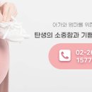 사임당 강서지사 이미지
