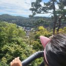이솝유치원 | 🎡 에버랜드 후기 | 투데이 Q-Pass로 즐긴 로스트밸리·사파리 + 아이와 하루 코스