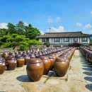 솔리,자운 이미지