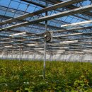 오수농장 이미지