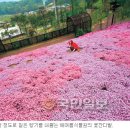 수목원꽃식물원 이미지