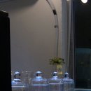 [청리단길 카페] 조용조용 분위기에 넓은 공간 카페, 사계,봄 후기