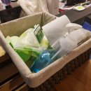 모모몽 애견까페 이미지