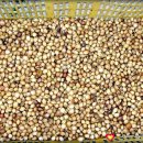 황화약국 이미지