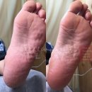 로이브로우아카데미