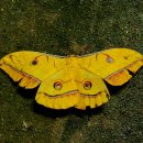 다인야영장 이미지