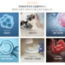연세더블유산부인과의원 네이버블로그
