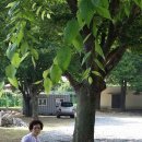 미당초등학교 이미지