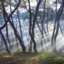 썬샤인투어 - 김포시 김포한강11로 288-5 | 썬샤인투어